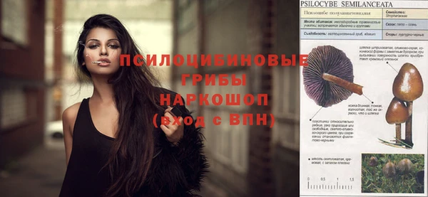 крисы Аркадак