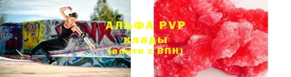 крисы Аркадак