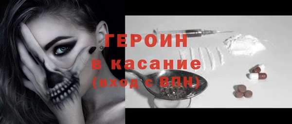 индика Арсеньев
