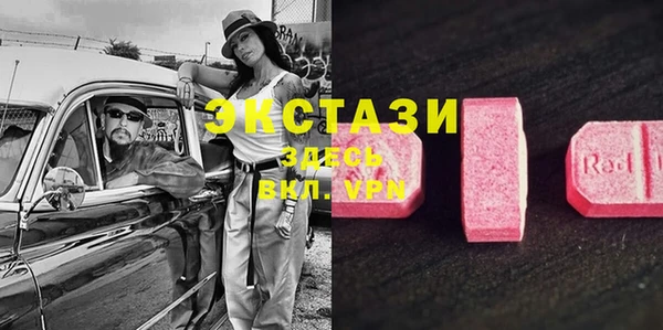 крисы Аркадак
