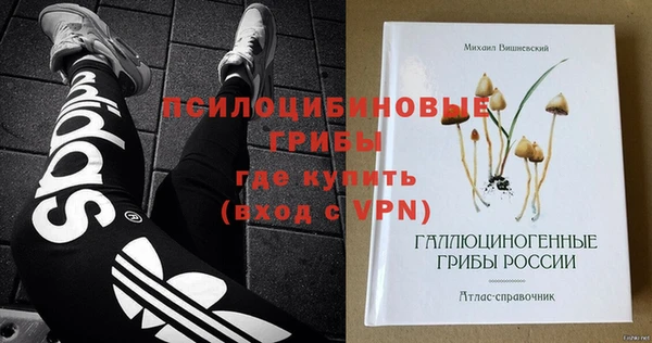индика Арсеньев