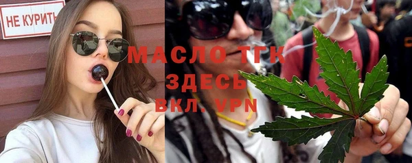 индика Арсеньев