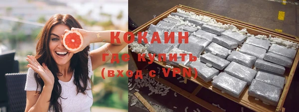 индика Арсеньев