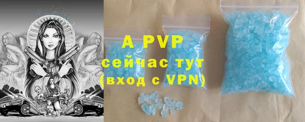 индика Арсеньев
