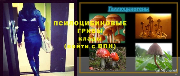 дурь Армянск